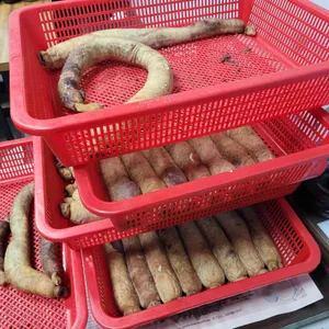 전주순대국 리뷰 사진