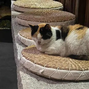 더 가마 리뷰 사진