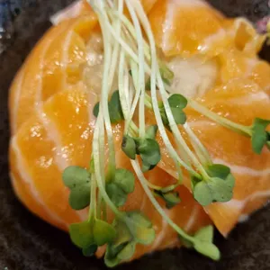 홍대개미 사진
