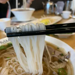 포메인 사진
