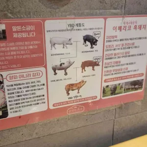 익선동 목장 리뷰 사진