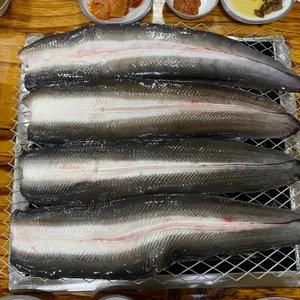 섬진강민물장어 사진
