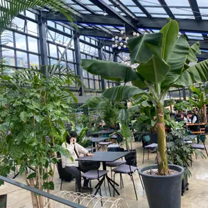 헬로오드리 리뷰 사진