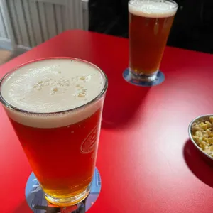 생활맥주 사진
