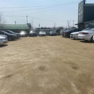 강정보돌짜장 리뷰 사진