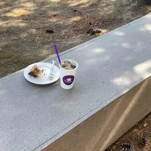 클라리멘토 사진