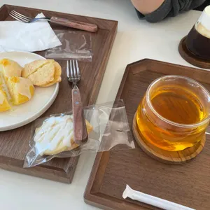 셉트 사진