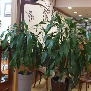 토마토라운지 리뷰 사진