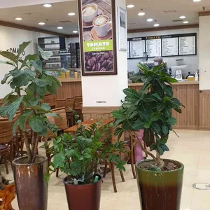 토마토라운지 리뷰 사진