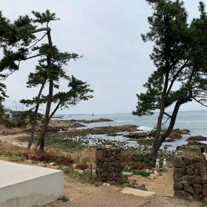 오프오 리뷰 사진