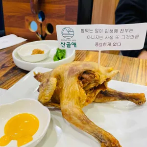 산골애 사진