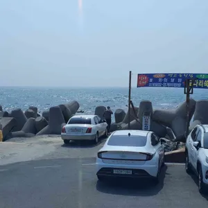 뱃고동횟집 리뷰 사진