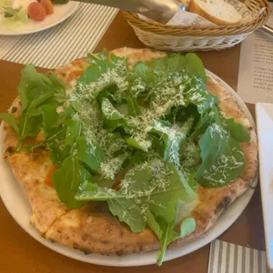 디마떼오 사진