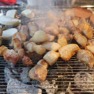 식껍 사진