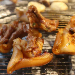식껍 사진