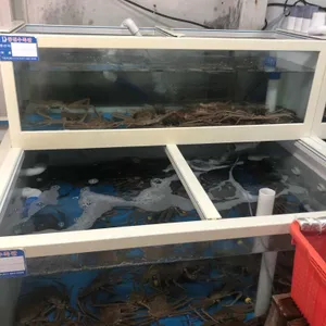 구룡포 대게마트 리뷰 사진