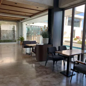 벤자마스 리뷰 사진