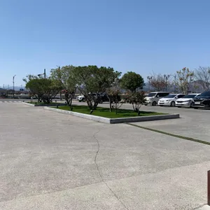 벤자마스 리뷰 사진