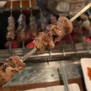 램플러스 사진