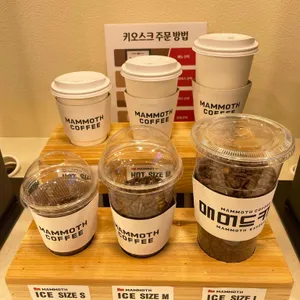 매머드익스프레스 사진