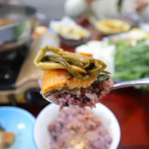 상상장어 사진