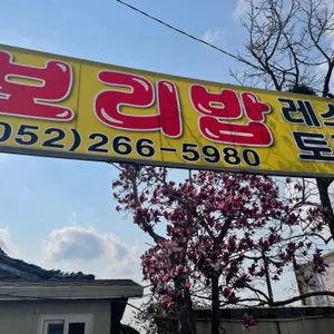 보리밥 리뷰 사진