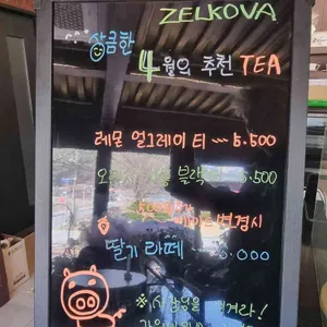젤코바 리뷰 사진