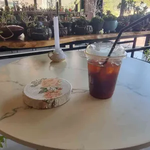 젤코바 사진
