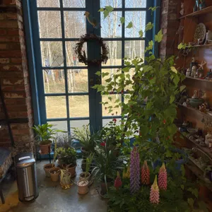 지베르니 리뷰 사진