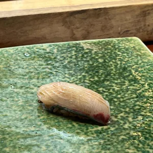 스시누하 사진