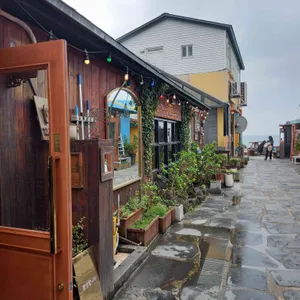 봄날 카페 리뷰 사진