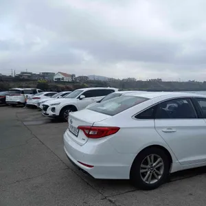 봄날 카페 리뷰 사진