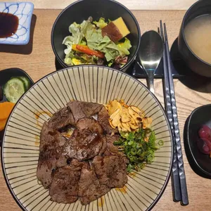코바치 사진