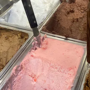 와플대학 대표 사진