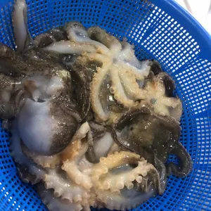 토담집 리뷰 사진