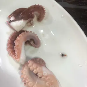 토담집 리뷰 사진