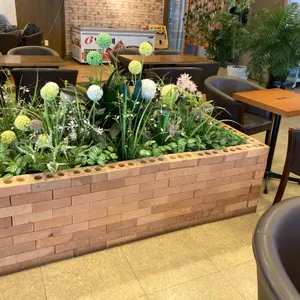 파구스 리뷰 사진