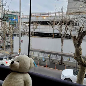 할리스커피 리뷰 사진