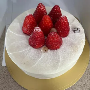 오뗄두스 사진