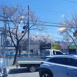 서울수제비 리뷰 사진