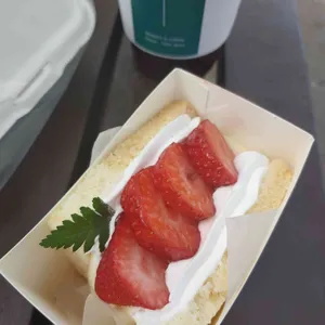 선다움 사진
