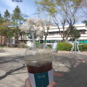 선다움 사진
