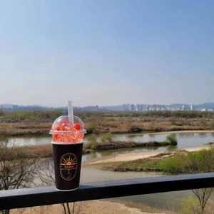 아도르 사진