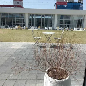 씨에르 레스토랑 리뷰 사진