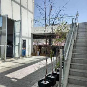씨에르 레스토랑 리뷰 사진