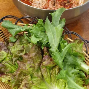소나무가있는풍경 사진