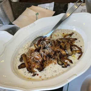 닥터로빈 사진