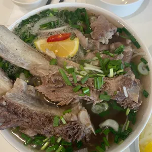 팟팟 사진
