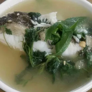 바다풍경 사진