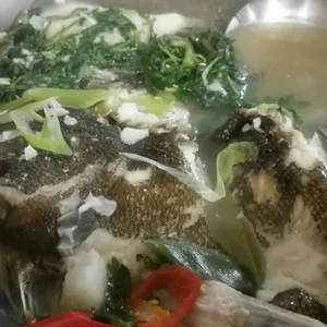 바다풍경 사진